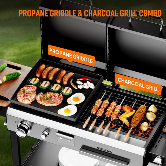 Propane Charcoal Grill Multifunctional Lid Outdoor Backyard