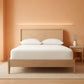 Queen Panel Platform Bed Engineered Hard wood Frame