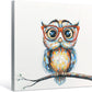 Ultra Durable Colorful Owl Canvas Wall Art Twenty Four Inches