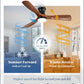 52 Inch Ceiling Fan With Lights WhisperQuietEnergy