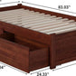 Twin XL Platform Bed With Authentic Walnut Finish Drawers