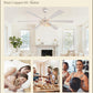 65 Inch White Caged Ceiling Fan With Remote