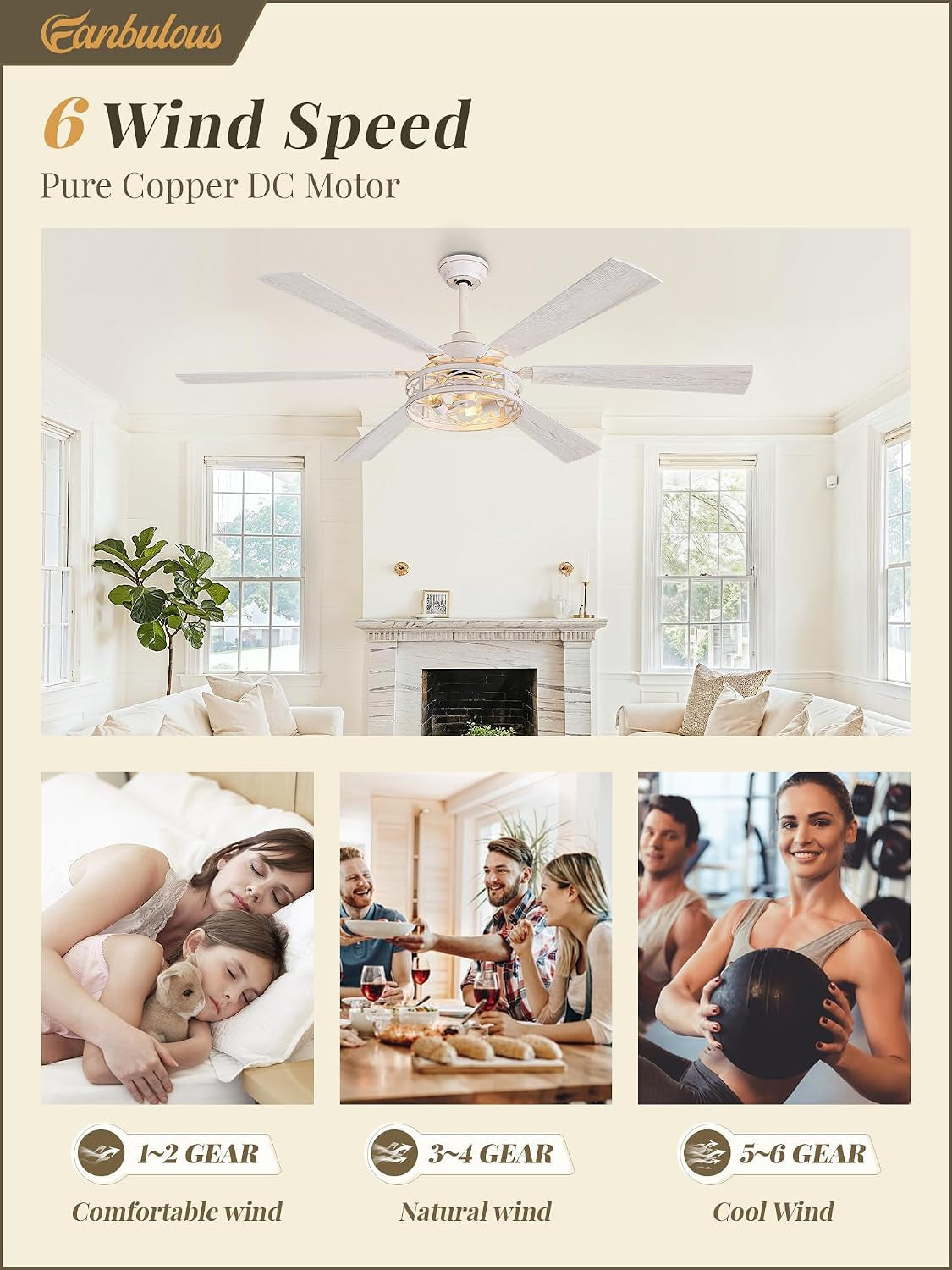 65 Inch White Caged Ceiling Fan With Remote