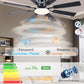 60Inch Black Industrial Grade Ceiling Fan With Lights
