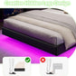 Floating Full Bed Frame with LED Lights and Head board, Black
