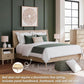 Queen Panel Platform Bed Engineered Hard wood Frame