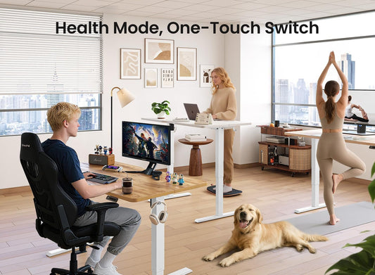 48x24 Inches Electric Height Adjustable Standing Desk