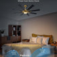 60 Inch Gold Farmhouse Ceiling Fan Integrated Lighting