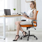 Orange Desk Mesh Chair With Adjustable Lumbar Support