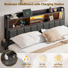 Queen Upholstered Platform Bed Frame Black Drawers