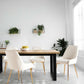 White Velvet Upholstered Dining Chairs Metallic Legs