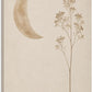 Moon Canvas Wall Art Neutral Palette Celestial Decor
