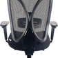 Raynor Black Ergonomic Desk Chair With Lumbar Support