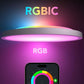 RGBIC Smart Ceiling Light 12 Inch Alexa Compatible