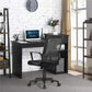 Modern Desk Drawer Shelves And Ergonomic Mesh Chair Set