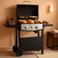 Two-Burner Propane Grill 20,000 BTU Stainless Steel