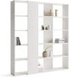 Rachele Modern Ashwood White Melamine Laminated Bookcase