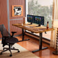 Vintage Brown 55x28 Electric Height Adjustable Desk