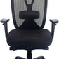 Raynor Black Ergonomic Desk Chair With Lumbar Support