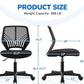 Low Back Armless Desk Chair With Lumbar Support Black