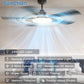 Fifty TwoInch Ceiling Fan With Remote Energy Efficient
