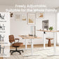 48x24 Inches Electric Height Adjustable Standing Desk