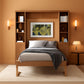 Queen Murphy Bed With Outstanding Storage Cabinets-0