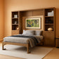 Queen Murphy Space Efficient Bed Storage Cabinets Shelves