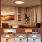 RGBIC Smart Ceiling Light 12 Inch Alexa Compatible