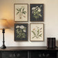 Framed Botanical Wall Art Set ElevenByFourteen Inches