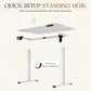 40x24 Electric Height Adjustable Standing Desk White
