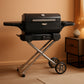 Portable Charcoal Grill Smoker With Analog Control