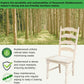 Set Of 2 Maine Ladderback Dining Chairs Unfinished Parawood
