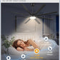 Contemporary Black Ceiling Fan With Integrated Lighting