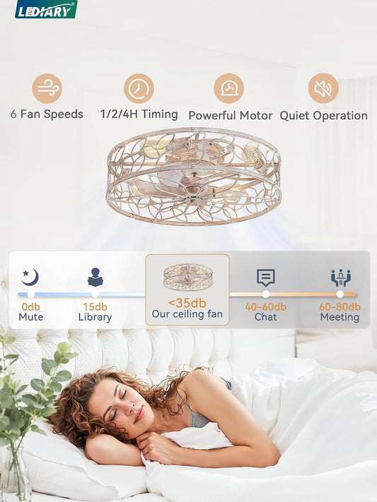 Contemporary 23 Inch White Gold Caged Ceiling Fan