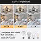 Black Four Light Farmhouse Ceiling Light Luminaire