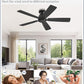 46 Inch Black Low Profile Ceiling Mount Ceiling Fan Remote