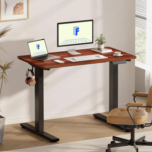 Electric Height Adjustable Standing Desk 48x24 Home Office