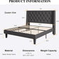 Queen Size Upholstered Wing back Platform Bed Dark Grey