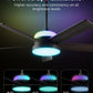 52 Inches Black Industrial Ceiling Fan With Lighting