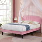 Queen Velvet Upholstered Platform Bed Frame Nailhead