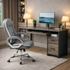 Gray 48Inch Ergonomic Office Desk PremiumStorage Chair
