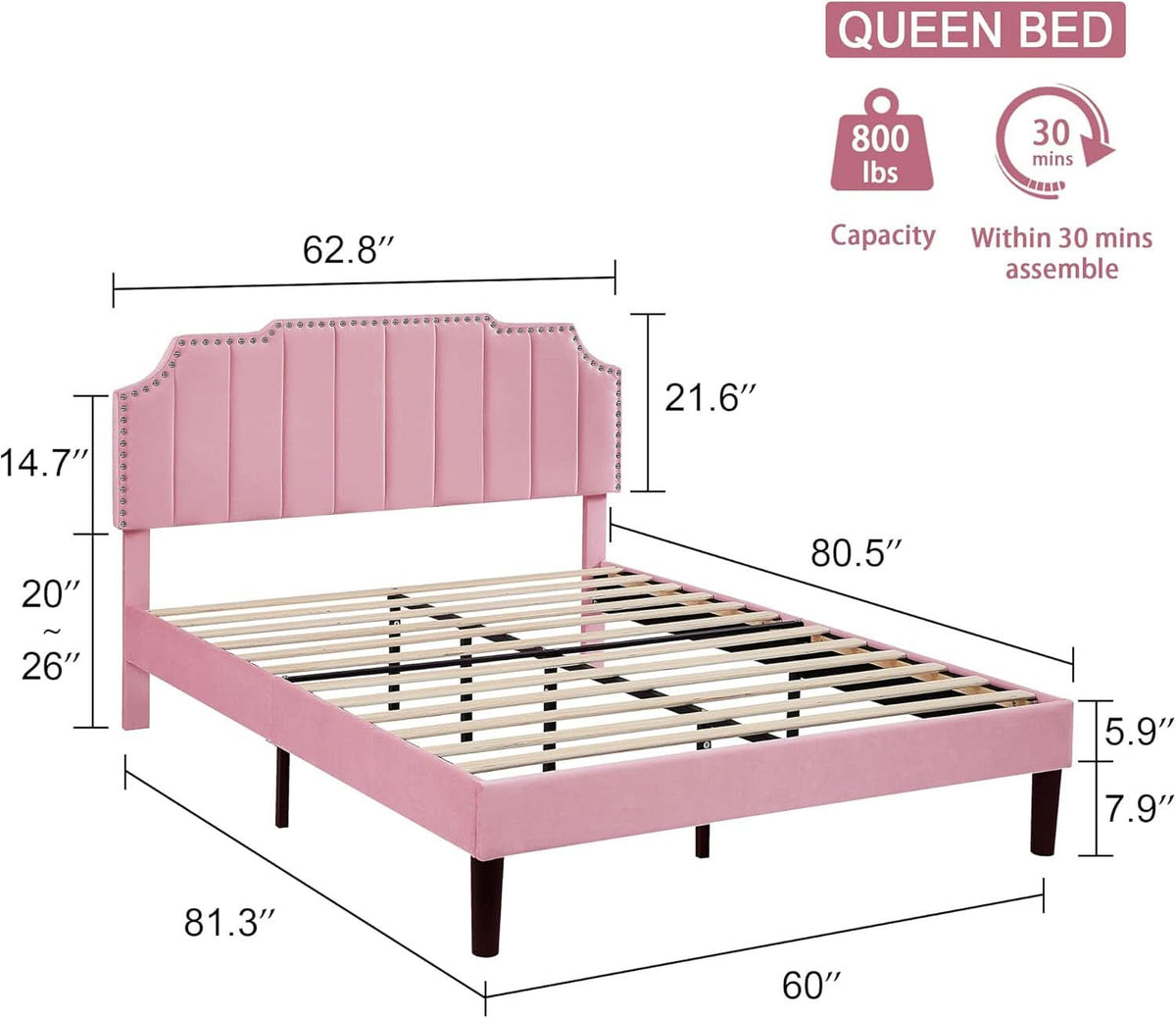 Queen Velvet Upholstered Platform Bed Frame Nailhead