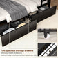 Black Twin XL Bunk Bed Foldaway Desk USB Charging Station