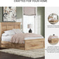 Signature Ashley Fenderport Full Platform Bed Drawers