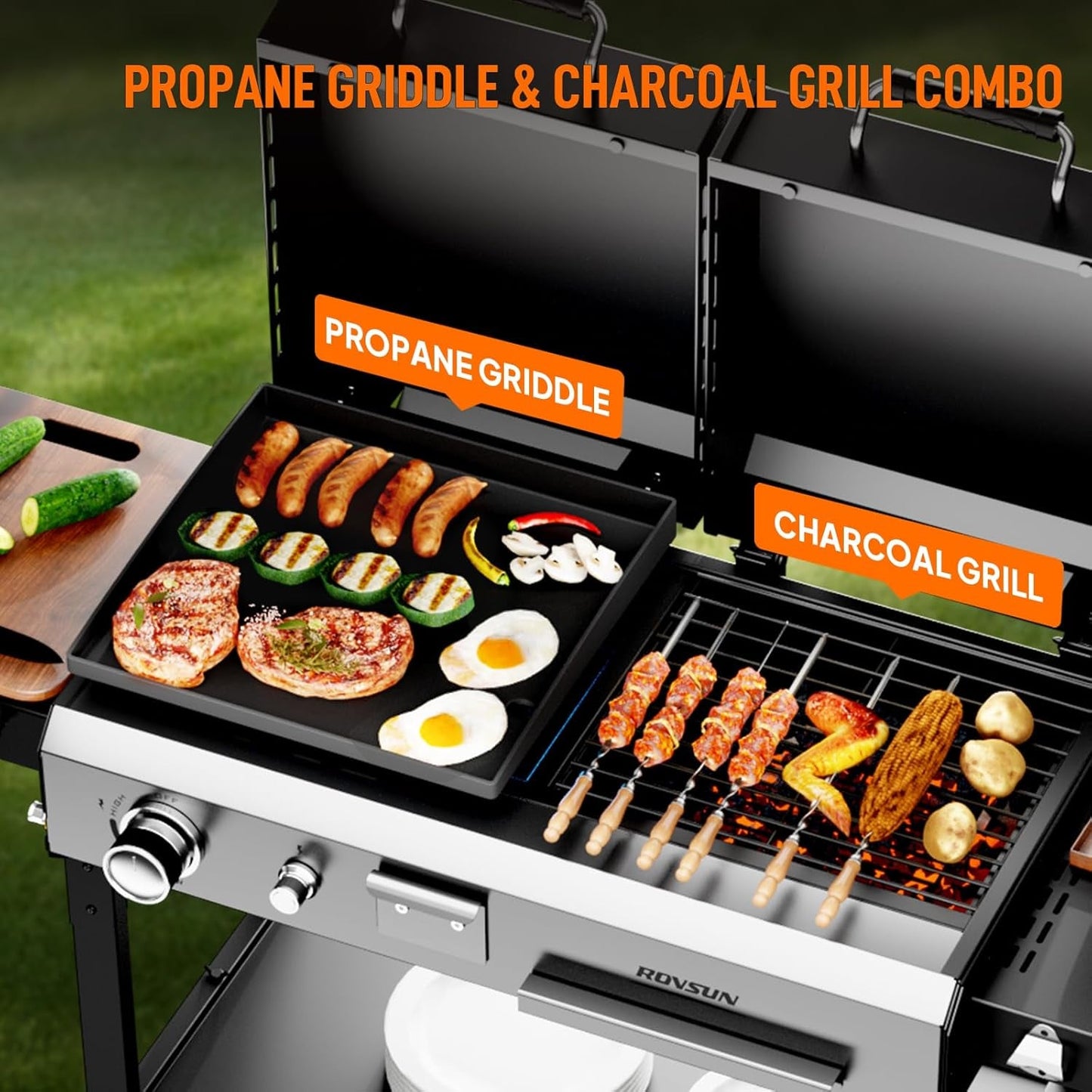 Propane Charcoal Grill Multifunctional Lid Outdoor Backyard