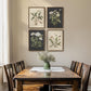 Framed Botanical Wall Art Set ElevenByFourteen Inches