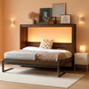 Contemporary Space Saving Murphy Bed With LED Brown