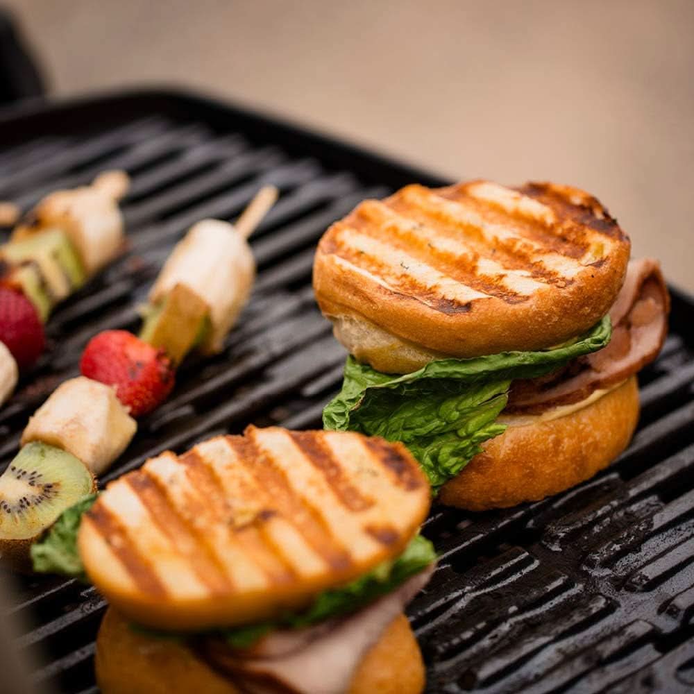 Weber Q1200 Portable Liquid Propane Grill Titanium