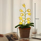 Cordless White Lily Of Valley Night light Desk Table Lamp-1